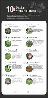 For more than 35 years wnps has been a great source for native plant information and action. National Garden Native Plant Recommendations United States Botanic Garden