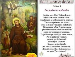 Biografia De San Francisco De Asis Oracion De Los Animales De Sn Fco De Asis Oracion De San Francisco San Francisco De Asis Francisco De Asis