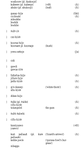 Image result for Phacelurus gabonensis