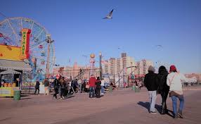 Faqs for pest control in brooklyn, ny. Three Of Best Mouse Exterminators In Brooklyn Ny