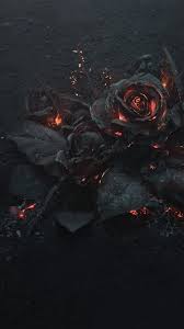 Search free black wallpapers on zedge and personalize your phone to suit you. Download 1080x1920 Rose Ashes Fire Black Dark Theme Wallpapers For Iphone 8 Iphone 7 Plus Iphone 6 Sony Xperia Z Htc One Wallpapermaiden