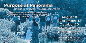 Purpose at Panorama Volunteer Opportunity