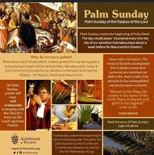 Over 2,039 palm sunday pictures to choose from, with no signup needed. Today Is Palm Sunday St Jude Catholic Elementary School Facebook
