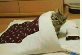 Memes de miraculous ladybug memes de ladybug dibujos tristes dibujos bonitos mariquita anime fotos de cat noir mariquita milagrosa capitulos de arte de lluvia lluvia de otoño bailando bajo la lluvia noche lluviosa me encanta la lluvia imágenes d buenos días fotografía de girasol. Era Que No Estos Los Mejores Memes Que Dejo La Lluvia En Santiago Fotos El Rancahuaso Cl Noticias De Rancagua Y O Higgins