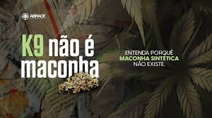 Droga K9: quais os efeitos dessa droga "Zumbi" ?