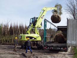 Been bought from the fancy dress shop? Logistics