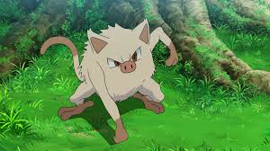 They are a mostly tan in color, with a round body, long limbs and a tail. Goh S Mankey Pokemon Wiki Fandom