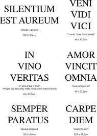 Pin By Sarah Tyree On Tattoo Latin Quotes Latin Phrases Wall Quotes
