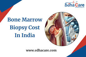 Image result for Bone Marrow Exam