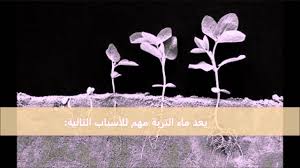 تأثير المياه الغازية على نمو النبات الصفحة الرئيسية المأجورون 2021