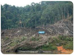 We did not find results for: Kunci Jawaban Buku Tematik Tema 5 Kelas 5 Halaman 133 134 137 Koesrow