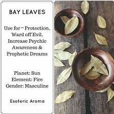 Pin By Monica Mitchell On Candles Lanterns Etc Magickal Herbs Magic Herbs Bay Leaves
