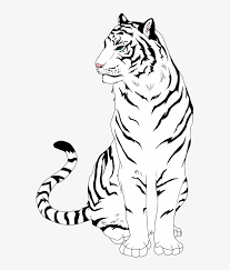 Great selection of tiger clipart images. White Tiger Clipart Easy Tiger Free Line Art Free Transparent Png Download Pngkey