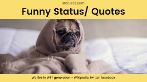 Funny Status For Whatsapp Facebook Short Funny Quotes