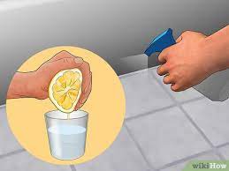 Old boxes and debris provide shelter and food. How To Get Rid Of Silverfish 14 Steps With Pictures Wikihow