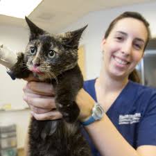 Happy National Veterinary Technician Week! These skilled professionals  ensure our pets are healthy and well cared for. Our Plant City Campus is  proud to offer a hands-on training program that is fully