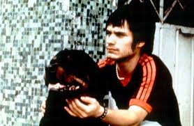 Amores Perros Alejandro Gonzalez Inarritu 2000 Perros Amarte Duele Gael Garcia Bernal
