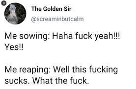 Bryn - Basically me when I say, "I'll deal with that on Monday" 😂 |  Facebook