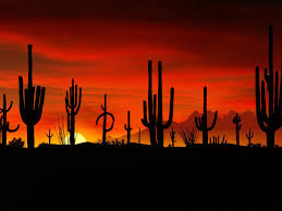Looking for the best wallpapers? Gay Phoenix Scottsdale 2021 Travel Guide Hotels Bars Events