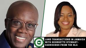 Carlene Sinclair breaks down the process of selling a property in Jamaica