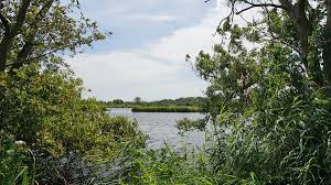 Things to do, see and experience. Loosdrecht Wikipedia