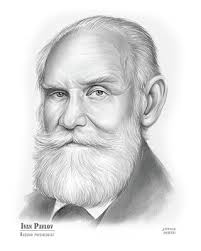Pavlov Drawings for Sale