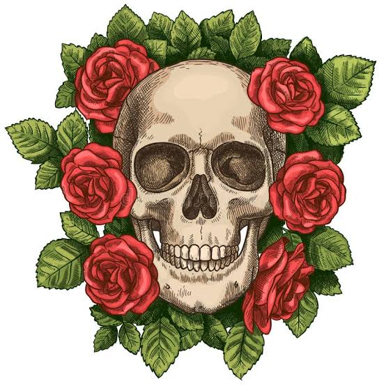 Skull and Roses. Dead Skeleton Head and Red Flowers, Hand Drawn Gothic Tattoo Graphic Stock Vector - Illustration of fashion, design: 193611234