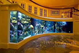 Great savings & free delivery / collection on many items. Baby Nursery Likable Good Fish Tank Floor For Home Design Ideas Great Model Tanks Standing Uk Hardwood Ceiling Sale Custom Aquarium House Design Home Aquarium