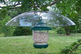 Pet owners who have a dog that weighs more than 75 pounds have to. Clingers Only Bird Feeder With 20 Hanging Squirrel Baffle