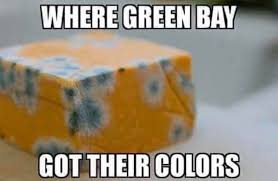 Green bay packer hall of fame. Makes Sense Packers Suck Memes Facebook