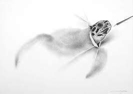 Guarda il profilo completo su linkedin e scopri i collegamenti di massimo e le offerte di lavoro presso aziende simili. Ci Ha Lasciati Questa Mattina L Artista Massimiliano Galliani Melobox