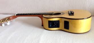 Image result for Cavacoa