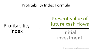1 picoin = 0.017447 us dollar: Profitability Index Calculation Double Entry Bookkeeping