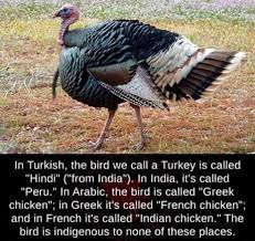 Find the newest turkey meme. Different Languages Say A Turkey Is From A Country It Isn T Native To 9gag