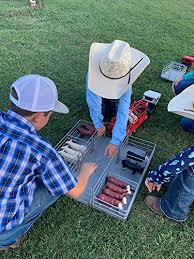 Amazon.com: Little Buster Toys Angus Bull