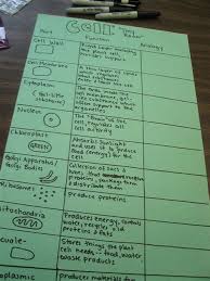 Must contain at least 4 different symbols; Cell Organelle Analogy Project Shefalitayal