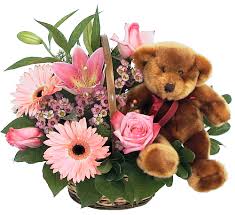 Maybe you would like to learn more about one of these? Pink Flowers And Teddy Ma4aa Maternity New Baby Flowers Canada Flowers Ca
