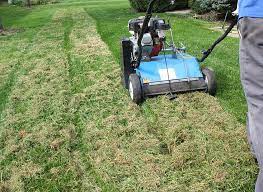 How do you know if you have thatch? Don T Forget To Dethatch This Autumn