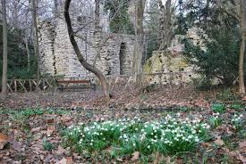 Virágok, zöld levelek, fehér hóvirág. Vacratoton Megrazta Magat A Tavasz Alakul A Botanikus Kert Viragos Szinkavalkadja Sokszinu Videk
