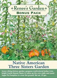 Companion planting is simply the practice of planting two or more plants together to the benefit of both plants. Celebrate The Three Sisters Corn Beans And Squash Renee S Garden Seeds