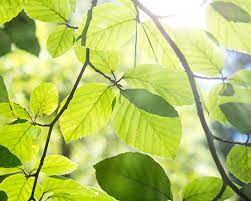 Kd bank eg liegt bei leibnizstraße 50, 39104 magdeburg, deutschland finden kd bank eg offnungszeiten und wegbeschreibungen oder karte. Standorte