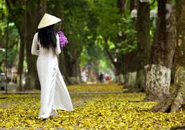 Kết quả hình ảnh cho phố thu hà nội
