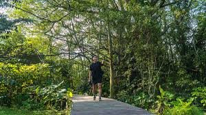 Legoland windsor resort (/ ˈ l ɛ ɡ oʊ. Windsor Nature Park A Lesser Known Hike To Macritchie In Singapore
