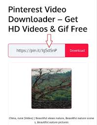 More than 17024 downloads this month. Pinterest Video Downloader Get Hd Videos Gif Free
