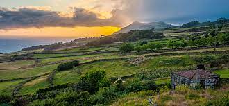 It is a robust, aged cheese with a hard rind, smooth surface and rich buttery tang. Sao Jorge How To Get There How To Move And Where To Sleep Portugal Net