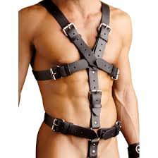 Strict Leather Body Harness, LargeX-Large : Amazon.com.au: Health,  Household & Personal Care