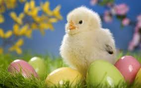 Looking for the best wallpapers? Download Easter Wallpaper Free Downloads Wallpaper Getwalls Io