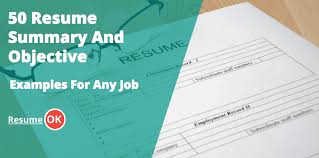Resume Objectives And Summary Examples 50 Ideas