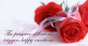 24 hour flowers los angeles. Send Flowers 24 X 7 Los Angeles Ca Same Day Flower Delivery
