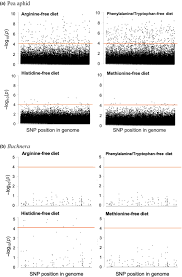 Check spelling or type a new query. Host And Symbiont Genetic Determinants Of Nutritional Phenotype In A Natural Population Of The Pea Aphid Chung 2020 Molecular Ecology Wiley Online Library